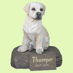 Памятники собакам (151)