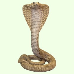 Статуэтка Королевская кобра коричневая Б с закрытым ртом