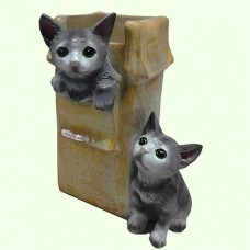 Подвазонник Коробка с котятами