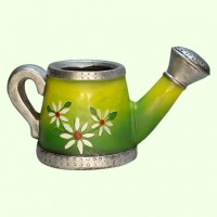 Подвазонник Лейка