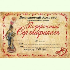 Подарочный сертификат на 750 грн.