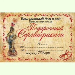 Подарочный сертификат на 750 грн.