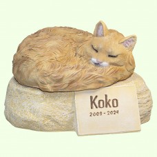 Урна для праха Длинношерстная кошка рыжая британская на камне