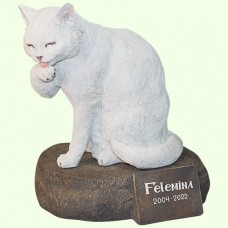 Урна для праха Кот лижет лапу белый на камне