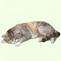 Урна для праха Спящий кот короткошерстный