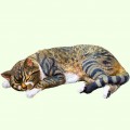 Урна для праха Спящий кот короткошерстный серый