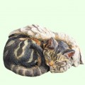 Урна для праха Спящий кот мраморный табби крылатый